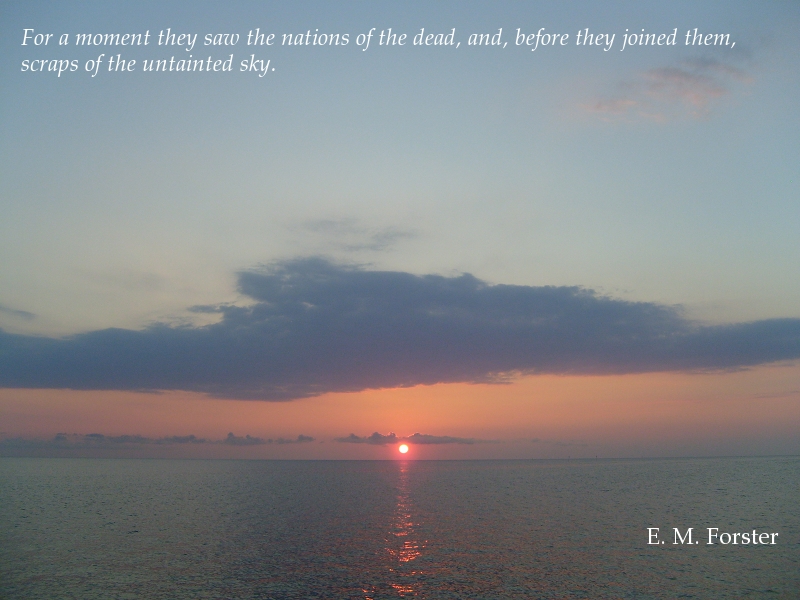 the untainted sky